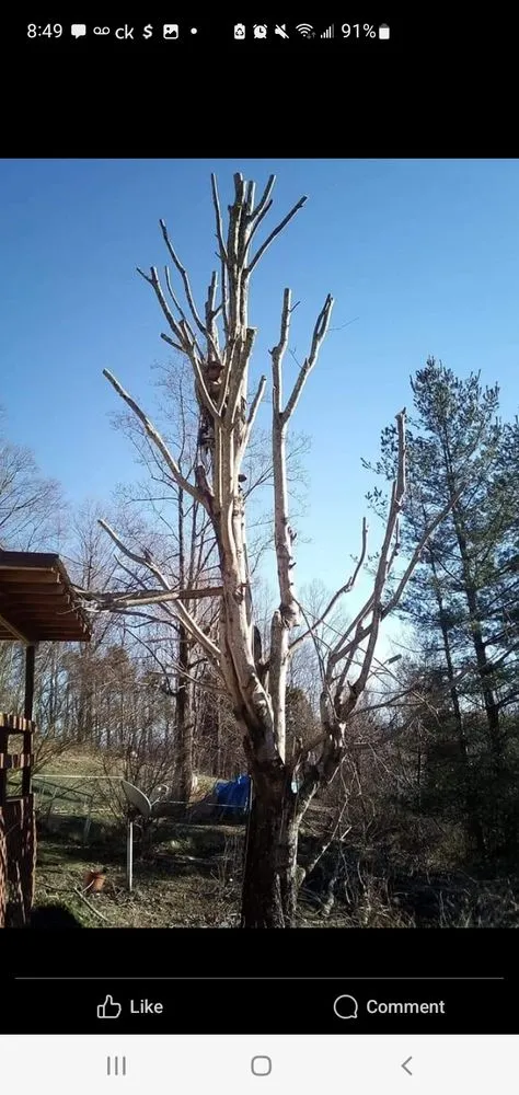 Custom garden landscaping for beautiful yards in Bristol, TN by Anderson Tree & Landscaping Service