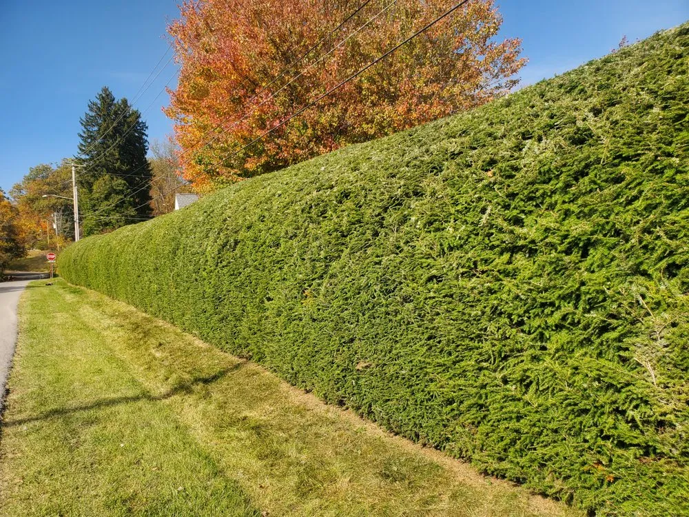Expert lawn care service for outdoor upgrades in Bristol, TN by Anderson Tree & Landscaping Service