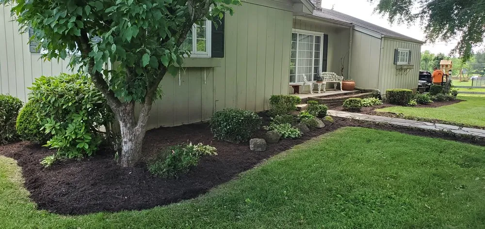 Reliable lawn care service experts serving Bristol, TN - Anderson Tree & Landscaping Service