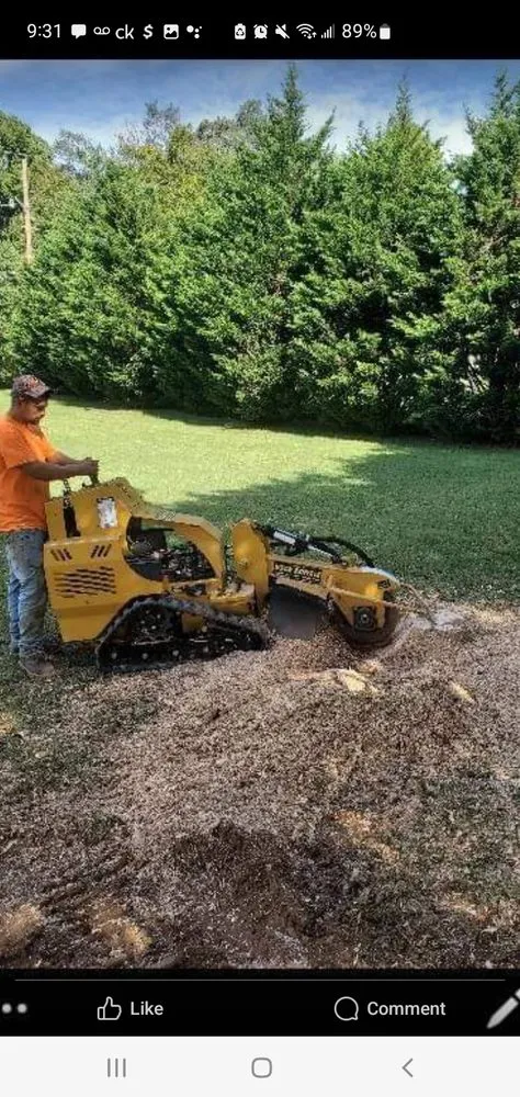Custom yard cleanup service in Bristol, TN - Anderson Tree & Landscaping Service