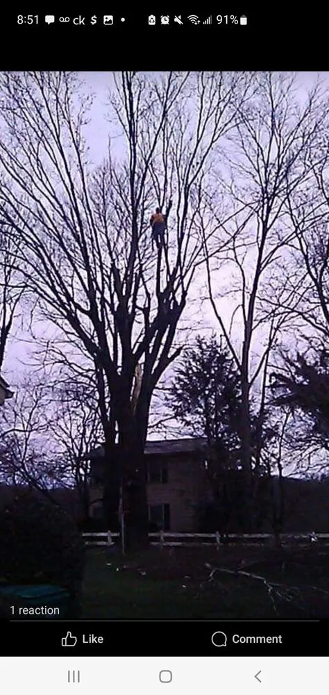 Expert garden landscaping in Bristol, TN - Anderson Tree & Landscaping Service