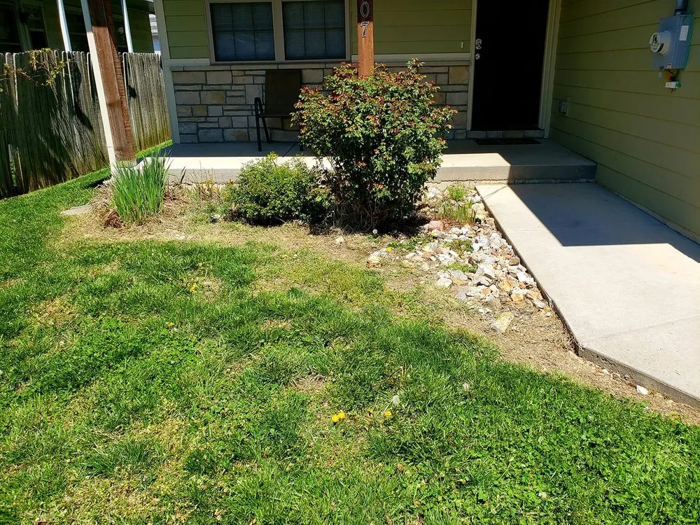 Affordable outdoor landscaping in Ozark, MO by Anderson Tree & Turf