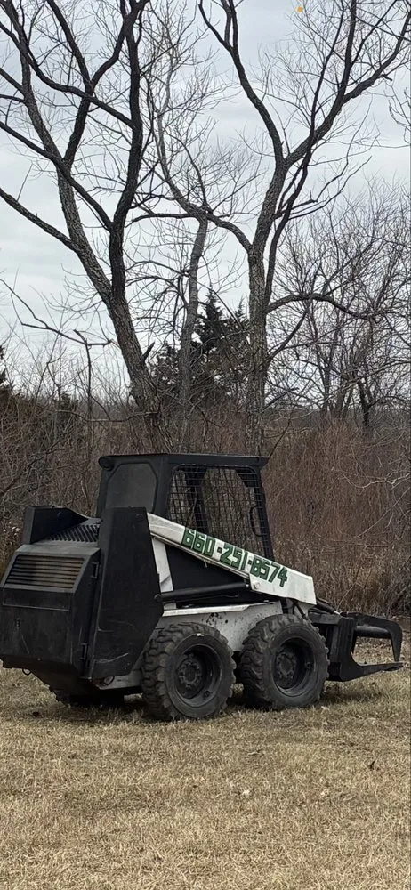 Expert yard maintenance experts serving Blue Springs, MO - Anderson Tree And Outdoor