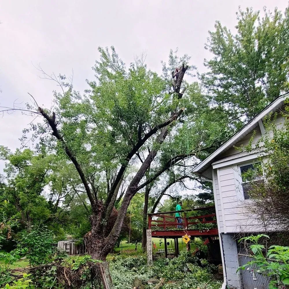 Expert lawn care service near you across Blue Springs, MO - Anderson Tree And Outdoor