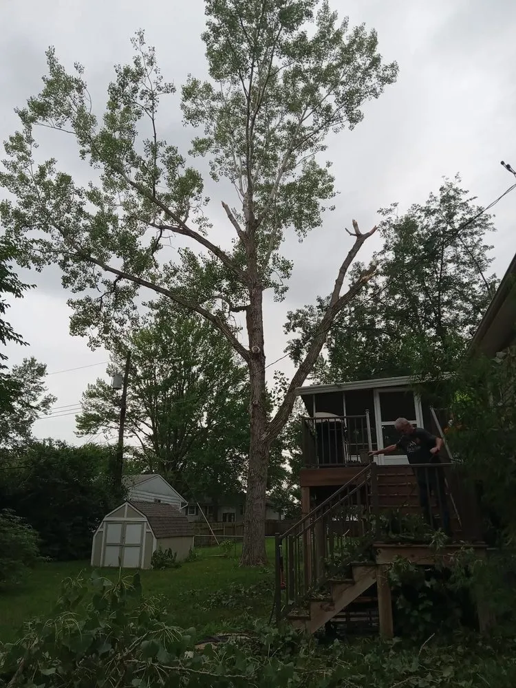 Custom lawn care service in Blue Springs, MO by Anderson Tree And Outdoor