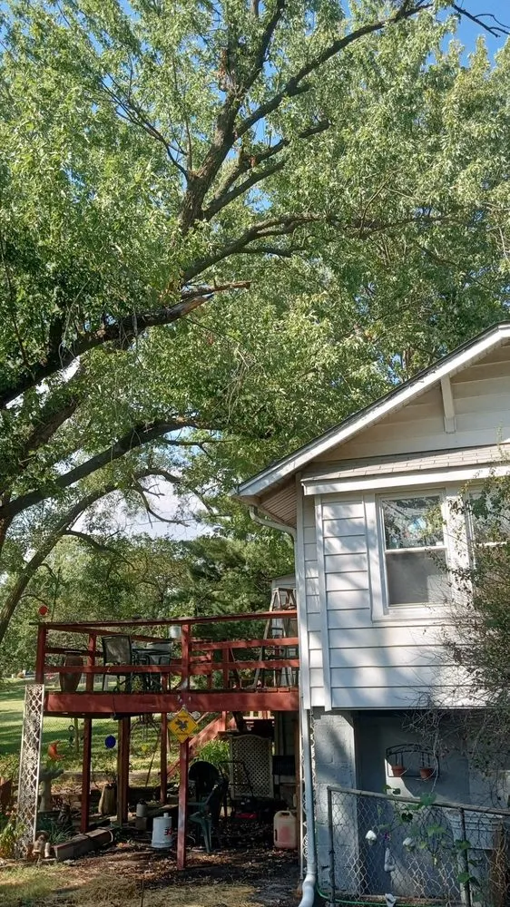 Local lawn mowing service for beautiful yards across Blue Springs, MO - Anderson Tree And Outdoor