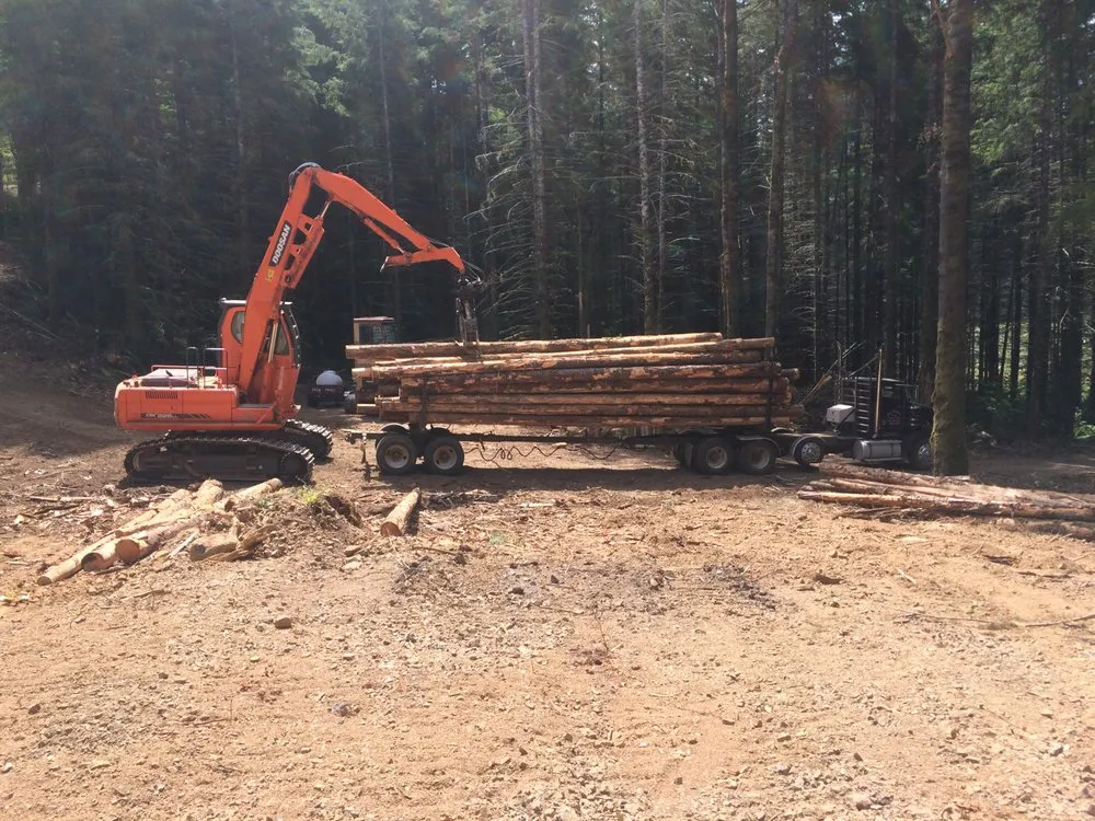 Custom yard maintenance for beautiful yards across Hoquiam, WA - Anderson Tree Service and Lawn Care