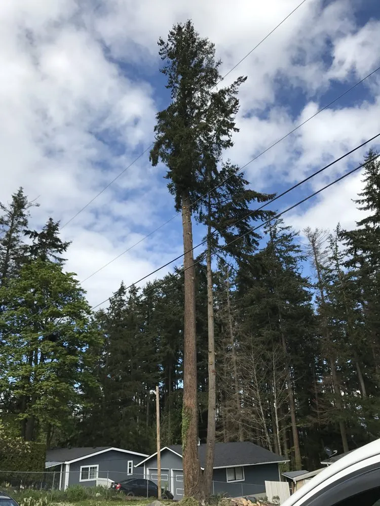 Trusted residential landscaping in Hoquiam, WA by Anderson Tree Service and Lawn Care