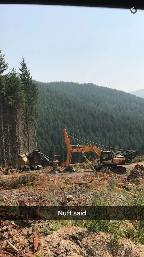 Affordable lawn care service experts serving Hoquiam, WA - Anderson Tree Service and Lawn Care