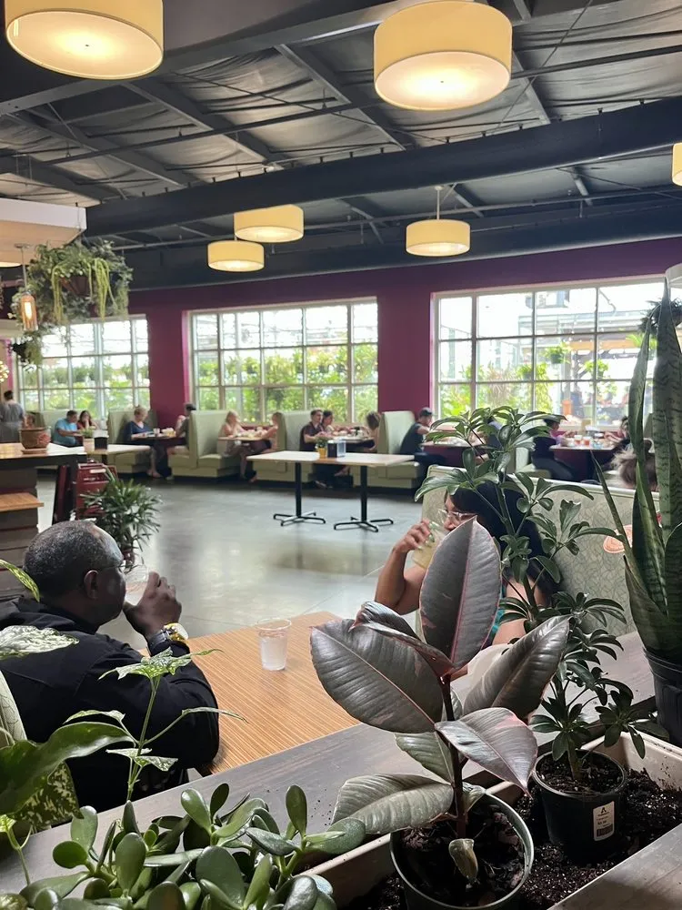 Professional residential landscaping in Virginia Beach, VA by Anderson's - Virginia Beach