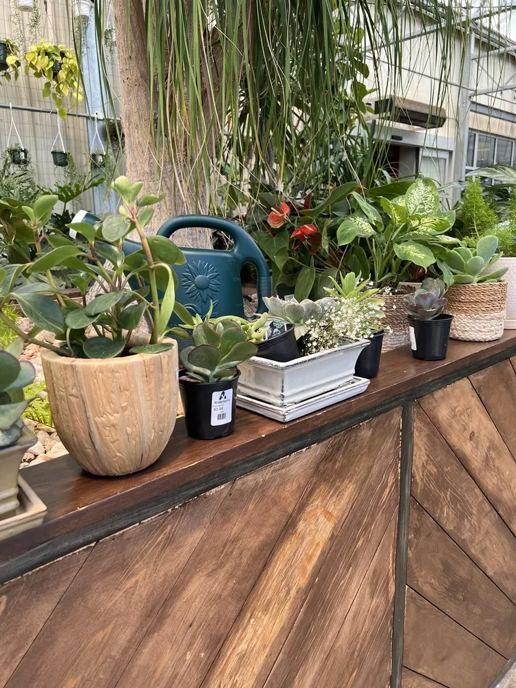 Top-rated lawn care service for outdoor upgrades across Virginia Beach, VA - Anderson's - Virginia Beach