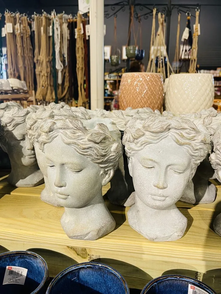 Expert lawn care service in Virginia Beach, VA - Anderson's - Virginia Beach