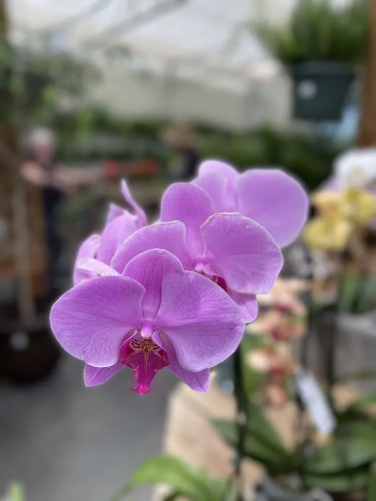 Reliable landscape installation in Virginia Beach, VA by Anderson's - Virginia Beach