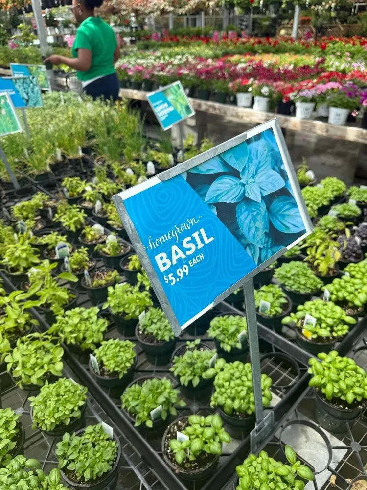 Professional outdoor landscaping for outdoor upgrades across Virginia Beach, VA - Anderson's - Virginia Beach