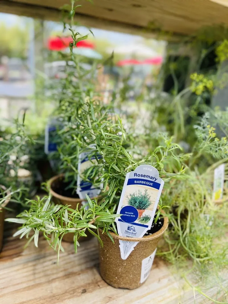 Custom garden landscaping experts serving Virginia Beach, VA - Anderson's - Virginia Beach