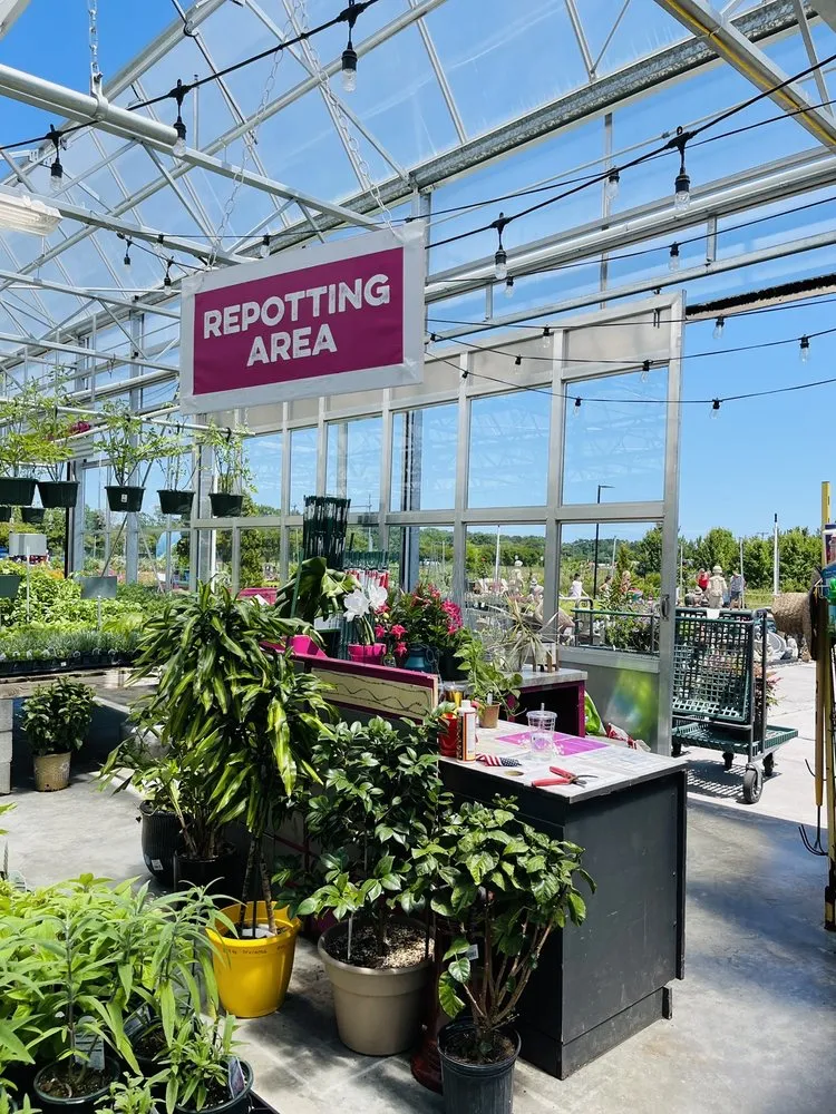 Reliable lawn mowing service experts serving Virginia Beach, VA - Anderson's - Virginia Beach