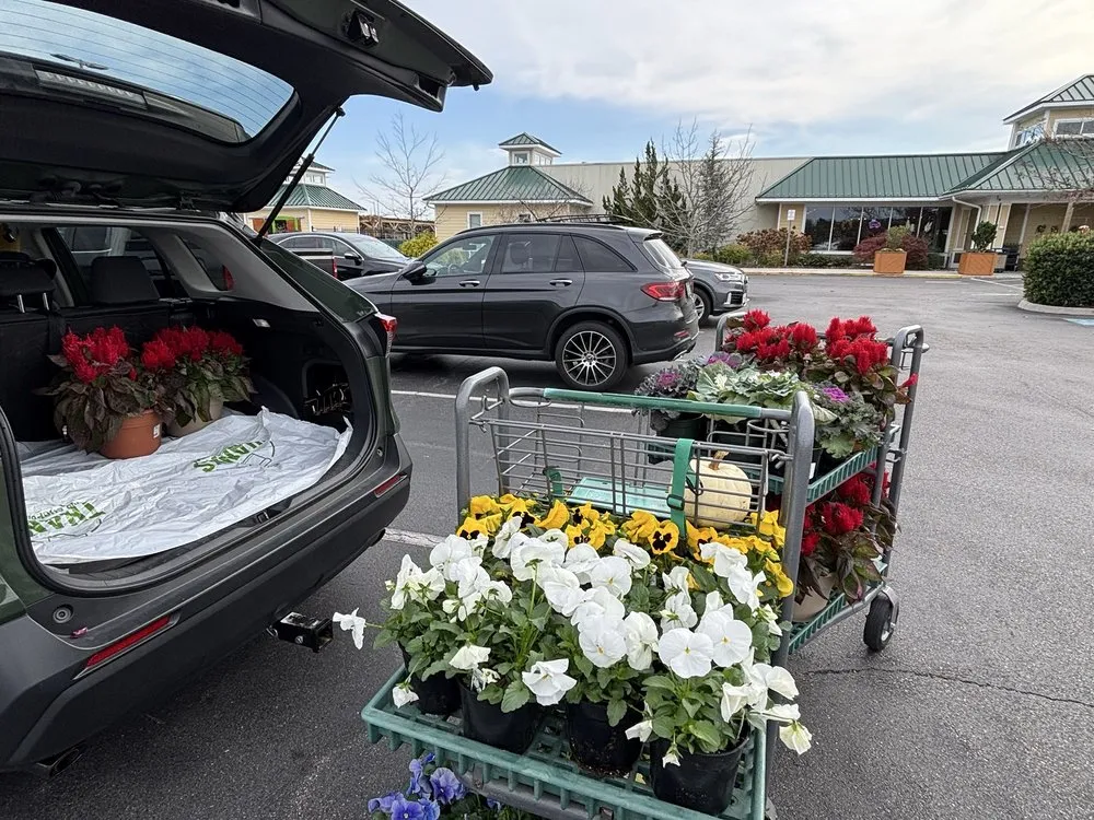 Affordable outdoor landscaping in Virginia Beach, VA by Anderson's - Virginia Beach