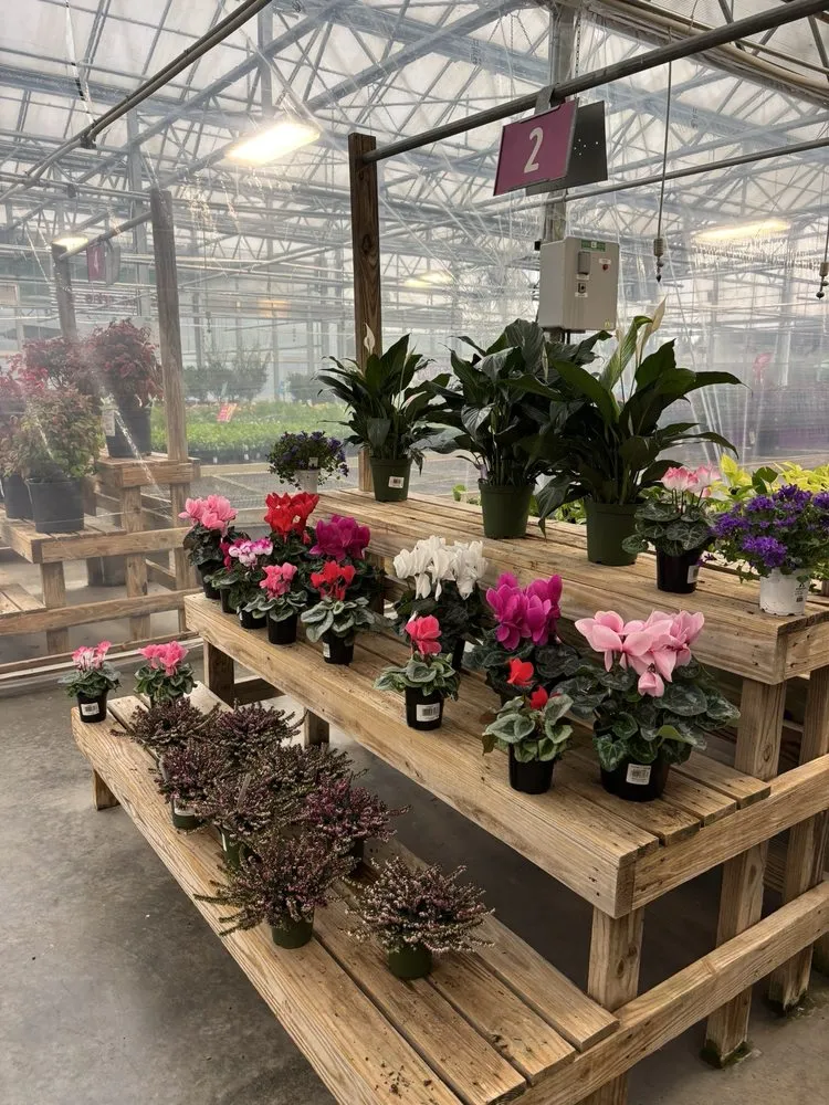 Affordable landscape installation in Virginia Beach, VA - Anderson's - Virginia Beach