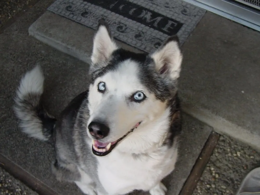 Custom landscaping services in Virginia Beach, VA by Anderson's - Virginia Beach