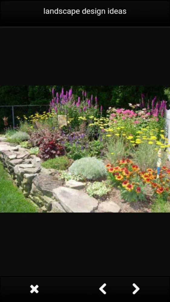 Top-rated residential landscaping experts serving El Mirage, AZ - Anderson's Handyman Services