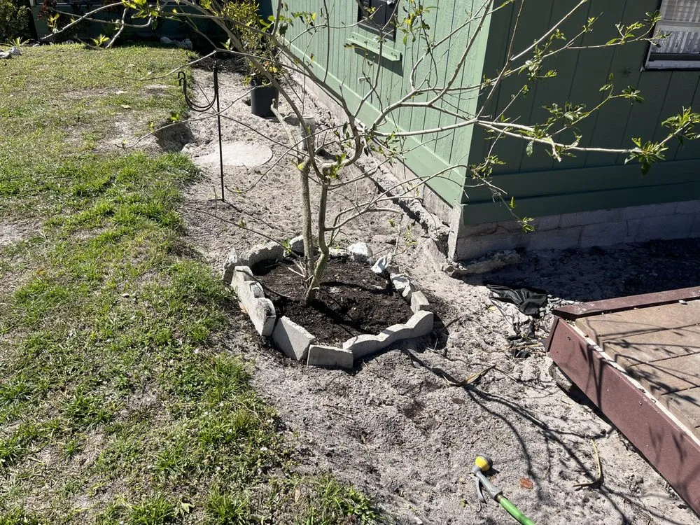 Top-rated landscaping services in Punta Gorda, FL by Anderson’s Home Projects