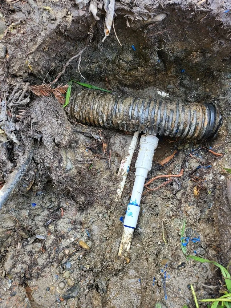 Professional lawn mowing service for outdoor upgrades across Redding, CA - Anderson's Landscape And Irrigation Repair