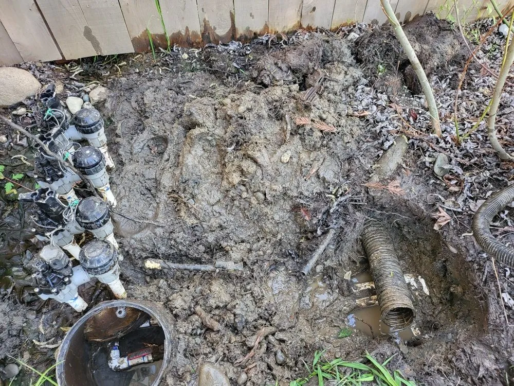 Trusted lawn care service experts serving Redding, CA - Anderson's Landscape And Irrigation Repair