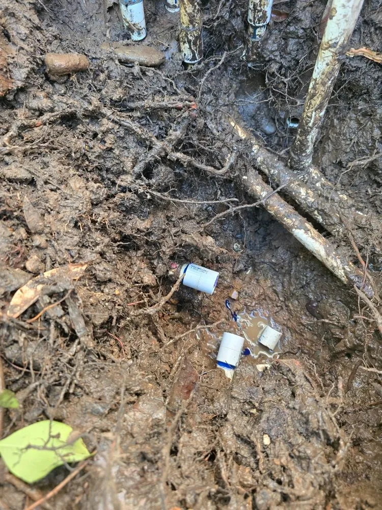 Expert outdoor landscaping in Redding, CA - Anderson's Landscape And Irrigation Repair