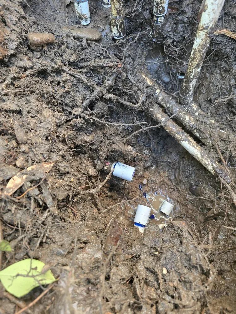 Top-rated yard cleanup service experts serving Redding, CA - Anderson's Landscape And Irrigation Repair