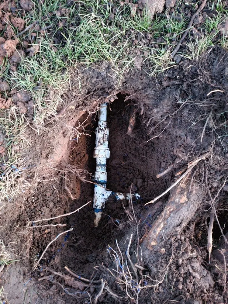 Professional landscape design for beautiful yards across Redding, CA - Anderson's Landscape And Irrigation Repair