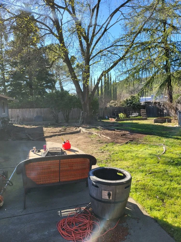 Top-rated outdoor landscaping experts serving Redding, CA - Anderson's Landscape And Irrigation Repair