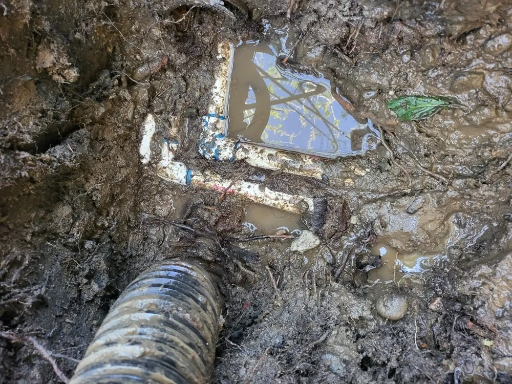 Trusted landscaping services in Redding, CA by Anderson's Landscape And Irrigation Repair