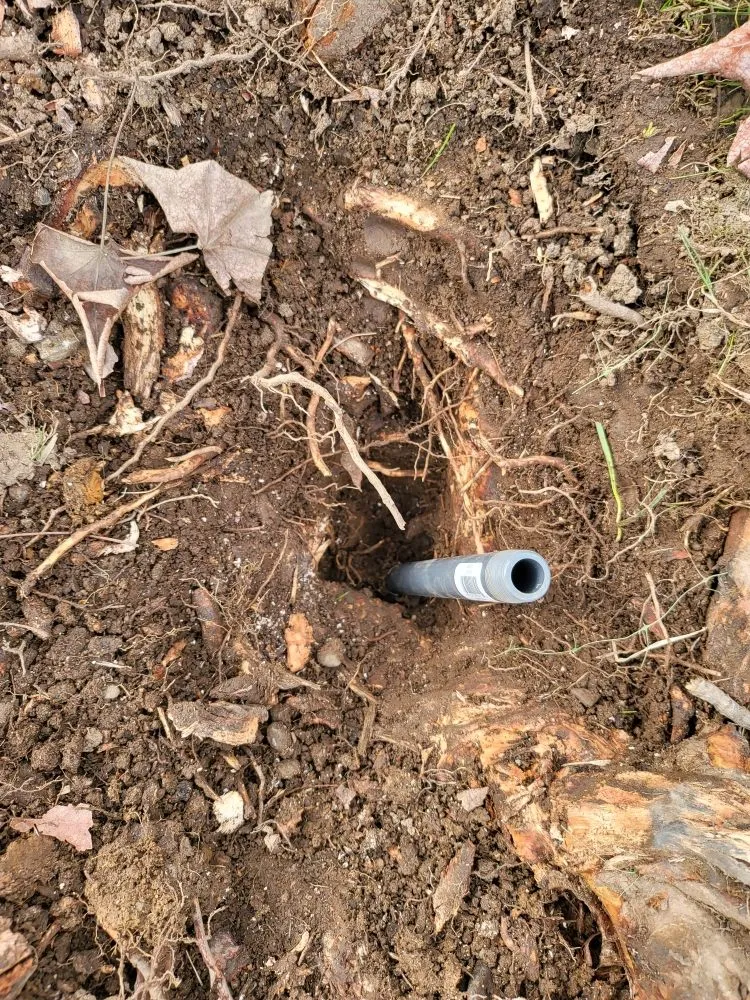 Trusted lawn care service in Redding, CA by Anderson's Landscape And Irrigation Repair