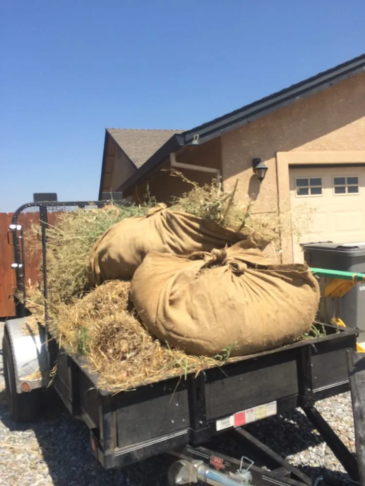 Expert yard maintenance in Redding, CA - Anderson's Landscape Maintenance