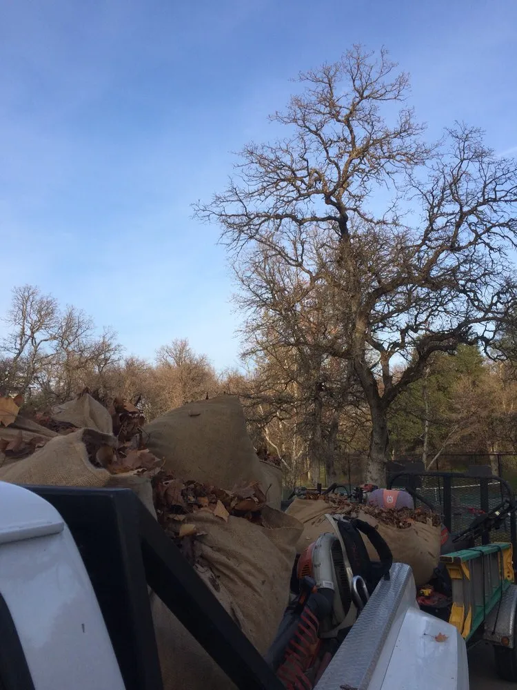 Professional outdoor landscaping for residential properties in Redding, CA by Anderson's Landscape Maintenance