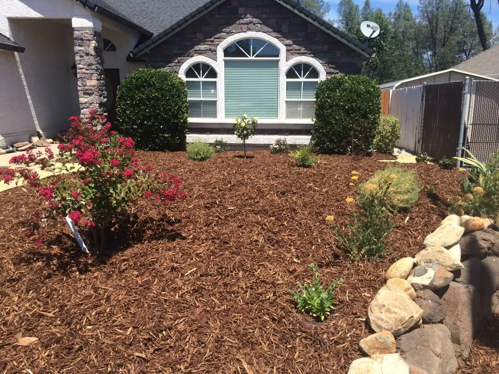 Professional lawn care service near you in Redding, CA by Anderson's Landscape Maintenance