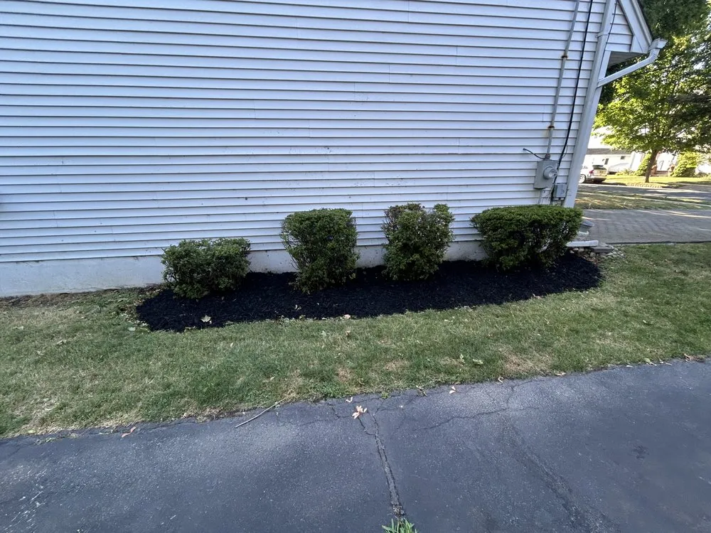 Expert landscaping services experts serving Randolph, NJ - Andersons Landscaping & Handyman Services
