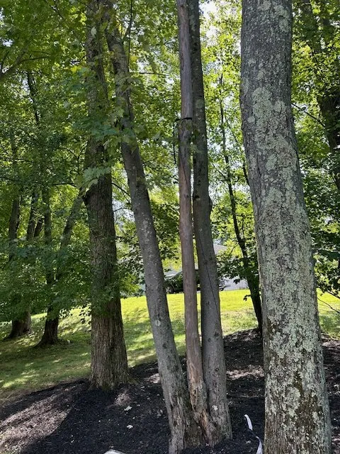 Local residential landscaping for year-round maintenance in Randolph, NJ by Andersons Landscaping & Handyman Services