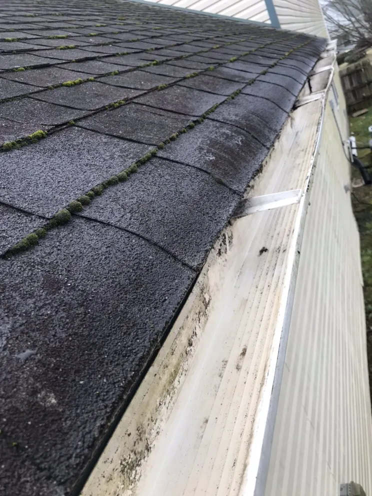 Professional yard cleanup service experts serving Little Rock, AR - Anderson’s landscaping