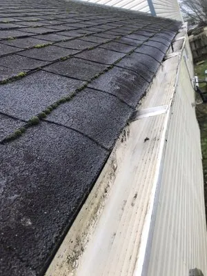 Anderson’s landscaping Logo