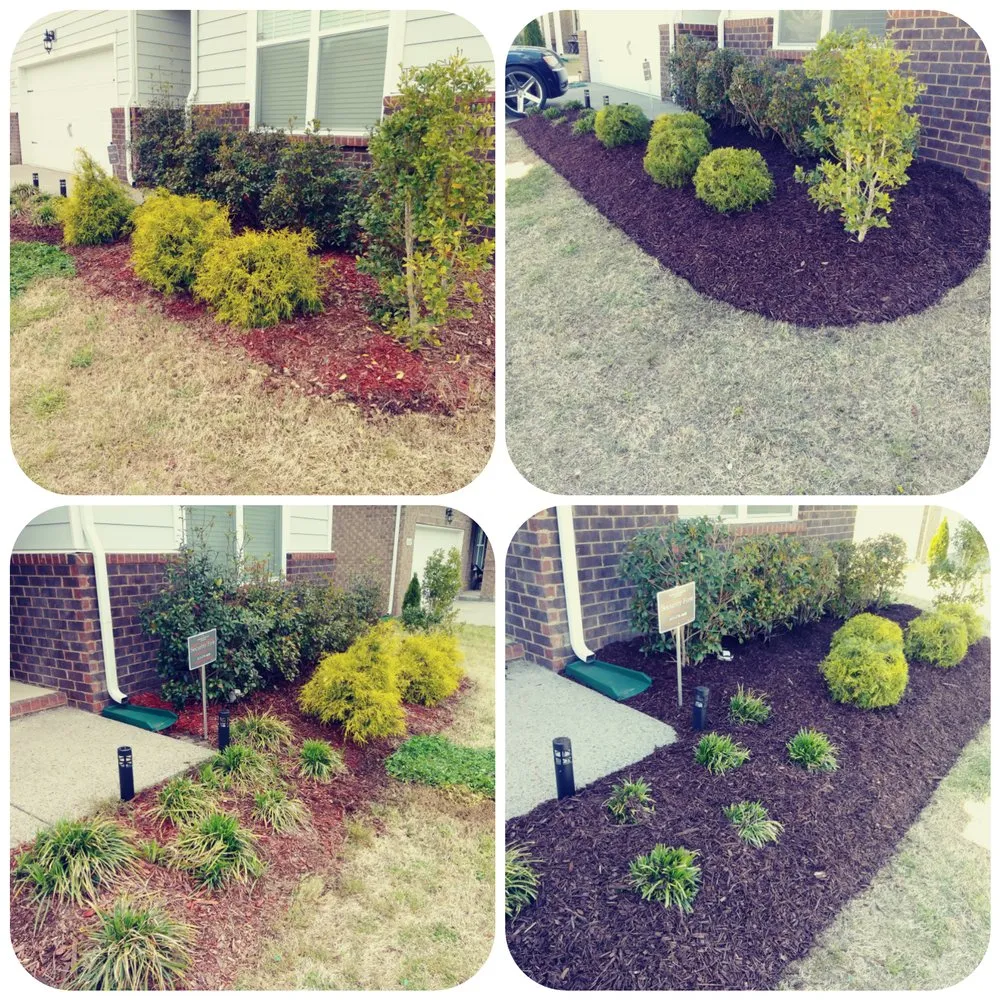 Top-rated landscaping services in Smyrna, TN - Anderson’s Lawn & Landscape