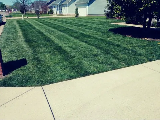 Anderson’s Lawn & Landscape Logo