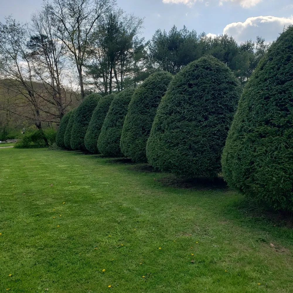 Custom garden landscaping in Cranberry Township, PA - Andersons Lawn And Home Care