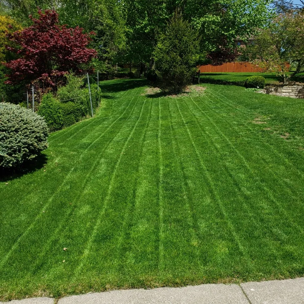 Trusted landscaping services in Cranberry Township, PA - Andersons Lawn And Home Care