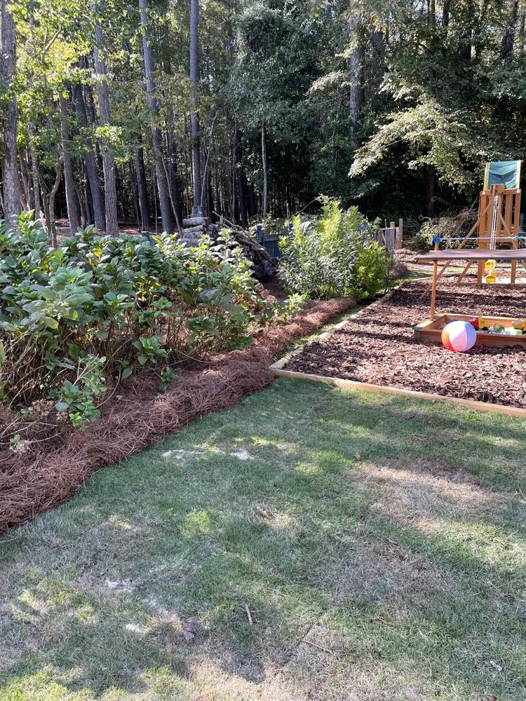 Expert landscaping services near you across Augusta, GA - Andersons Lawn Care