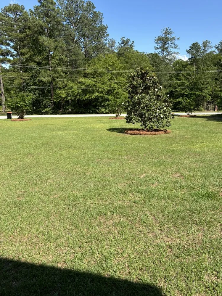 Local landscape installation for homes in Augusta, GA by Andersons Lawn Care