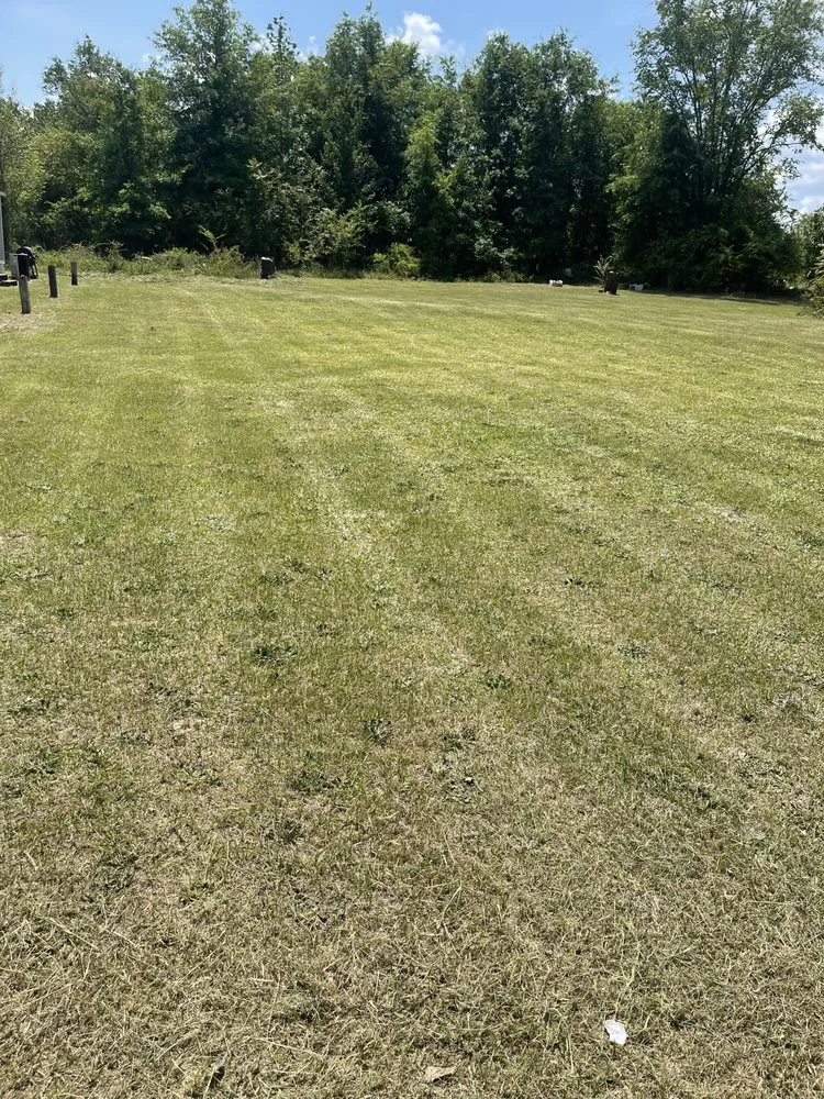 Professional yard cleanup service in Augusta, GA - Andersons Lawn Care