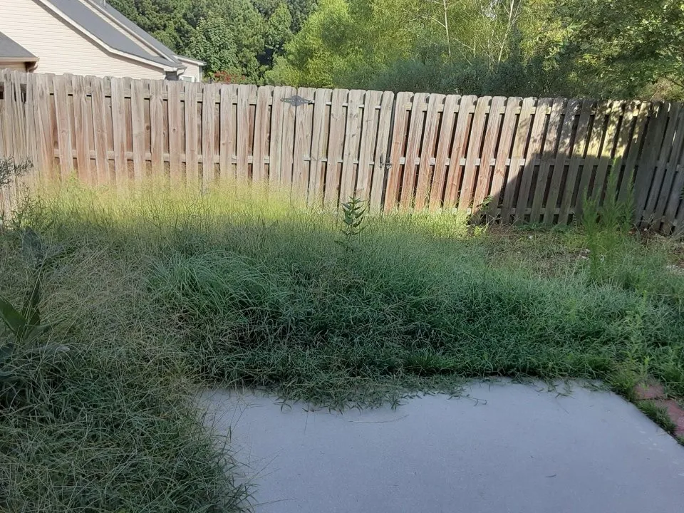 Custom lawn mowing service for year-round maintenance across Augusta, GA - Andersons Lawn Care