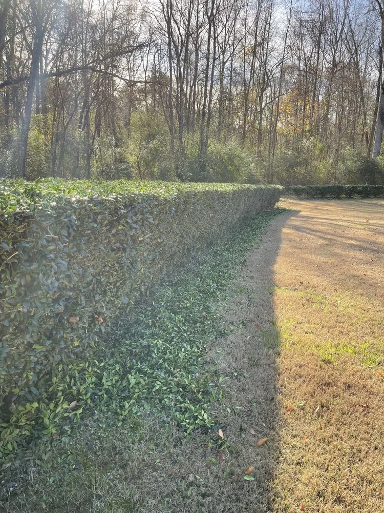 Top-rated yard maintenance in Augusta, GA by Andersons Lawn Care