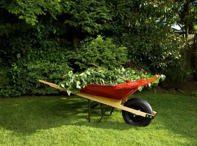 Expert yard maintenance in Port Deposit, MD - Anderson's Lawn Care